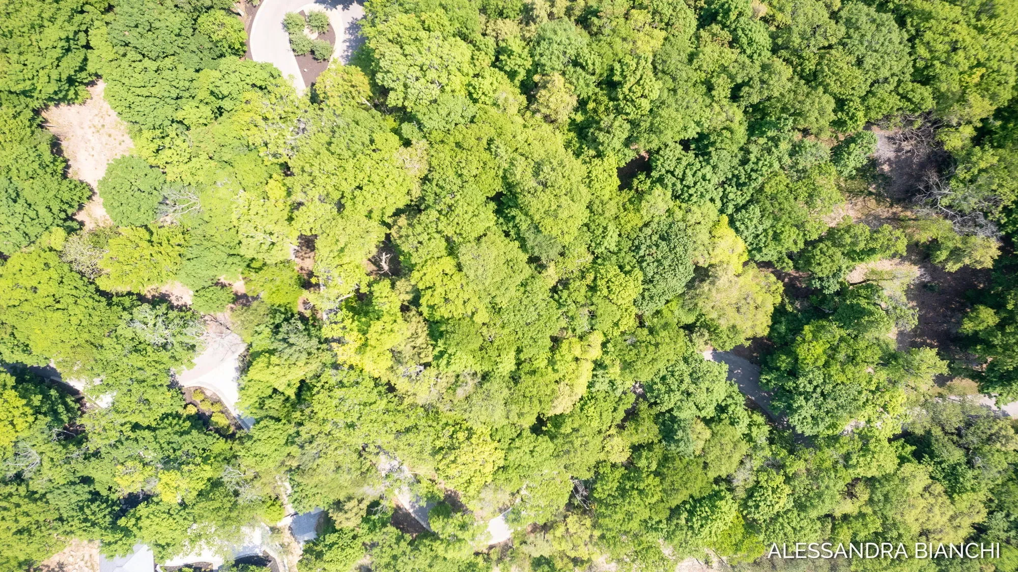 225 Dunegrass Ridge Drive, Saugatuck, MI 49453, Fennville, Michigan, United States. - Photo 15