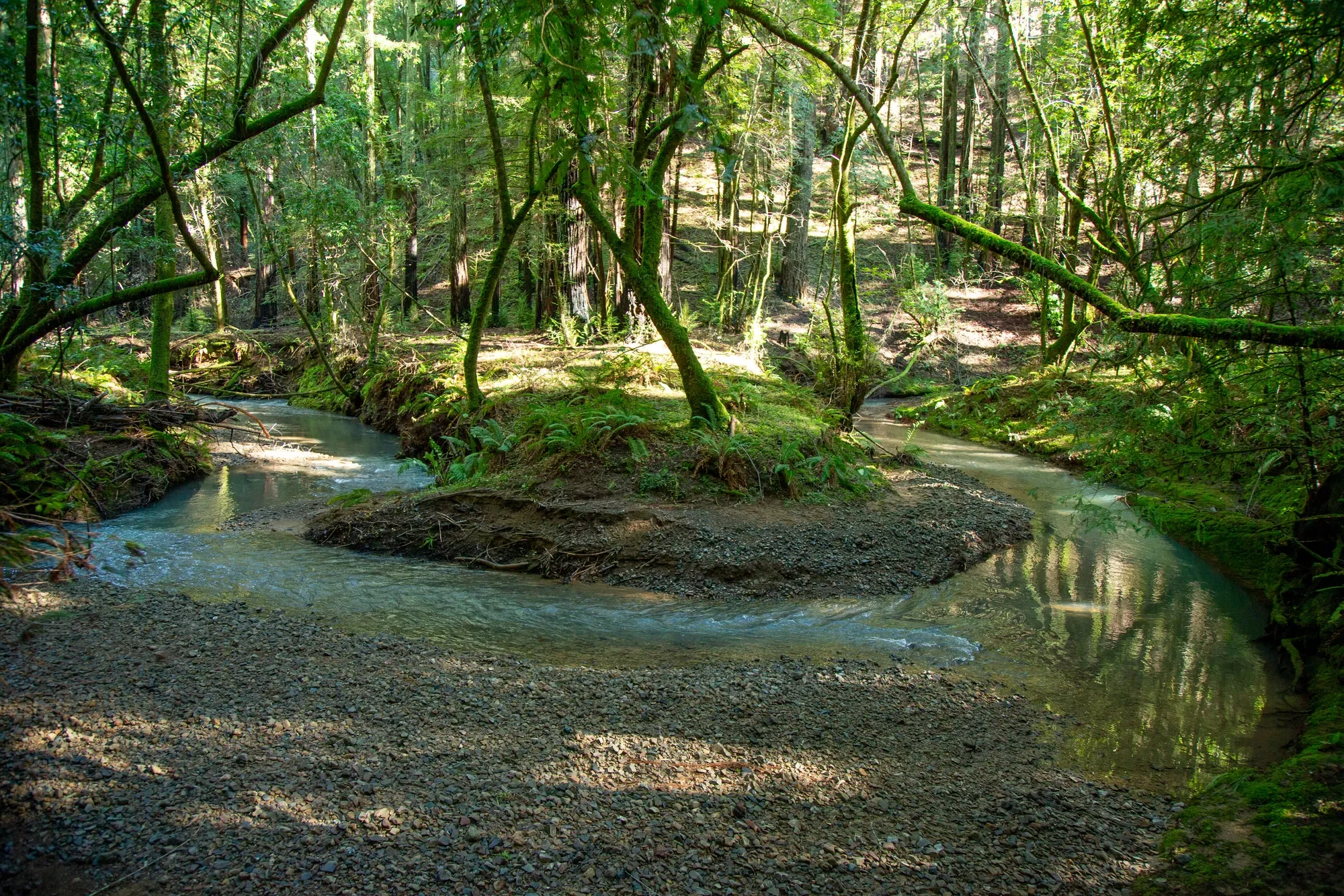 1490 Felta Road , Healdsburg, CA 95448, Healdsburg, California, United States. - Photo 5