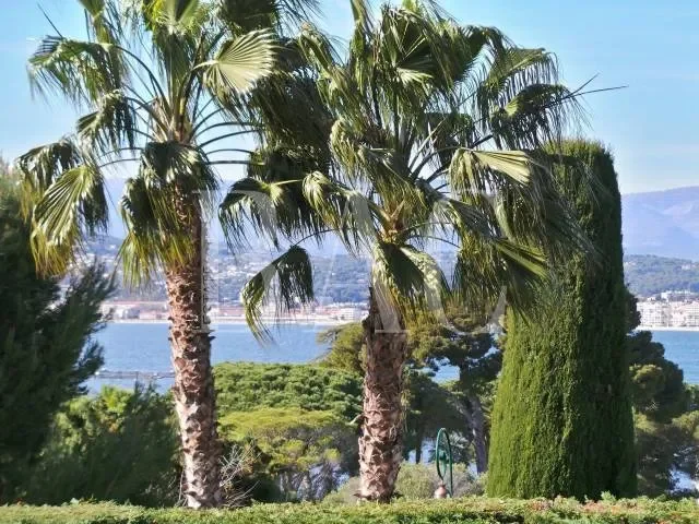 Antibes, Provence-Alpes-Côte d'Azur, France. - Photo 2