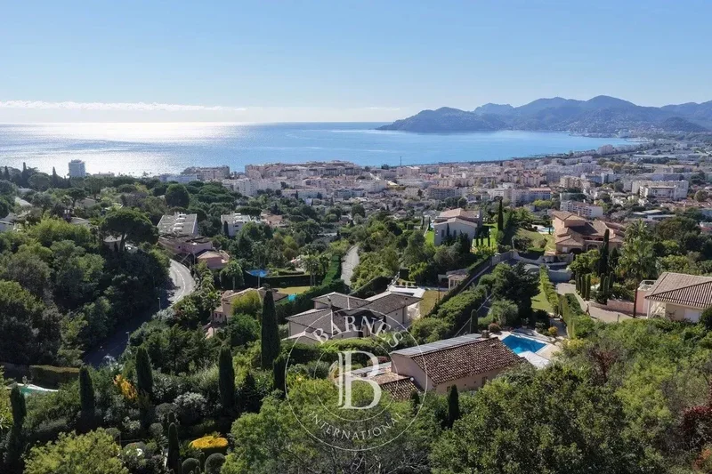 Cannes, Provence-Alpes-Côte d'Azur, France. - Photo 19