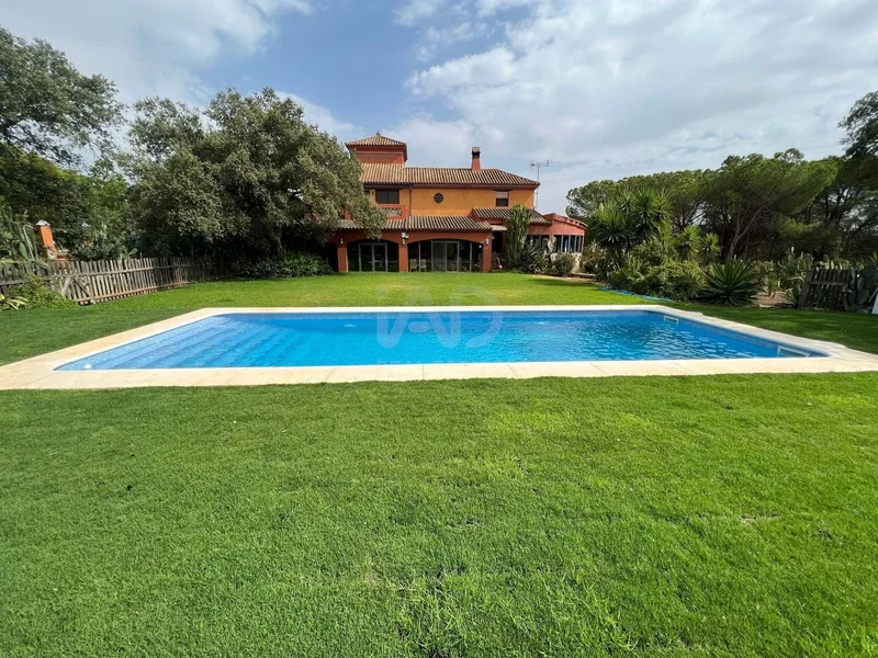 Andalusia, Lepe, Andalusia, Spain. - Photo 2