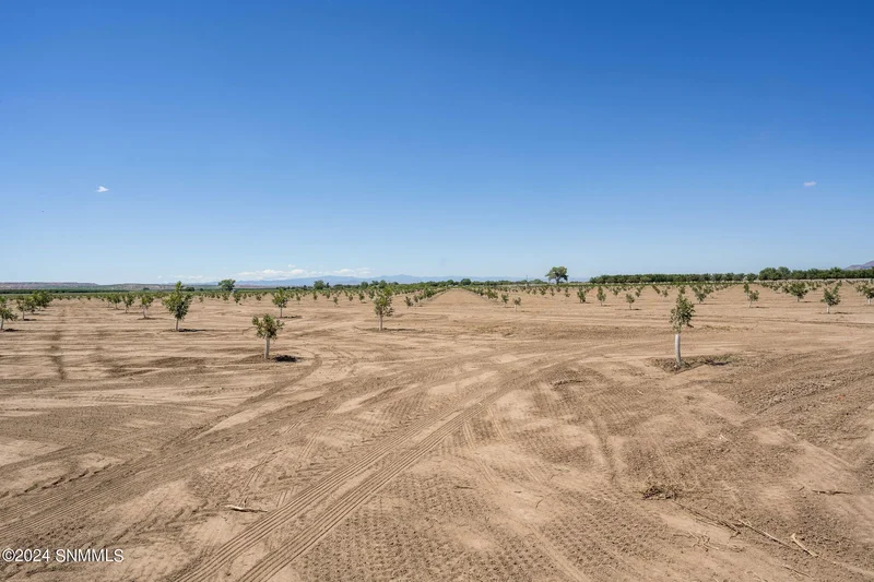215 Red Hills Road, Hatch, NM 87937, Hatch, New Mexico, United States. - Photo 44