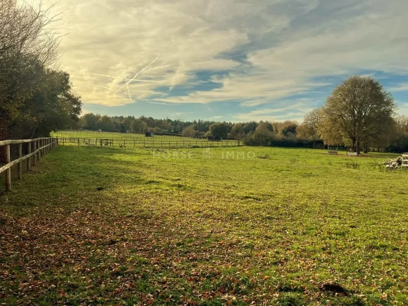 La Chapelle-Saint-Laud, Pays de la Loire, France. - Photo 9
