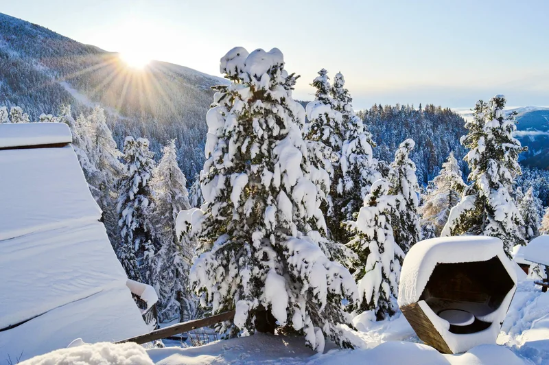 Exceptional Highlight with Panoramic Views at Turracherhöhe. - Carinthia, Austria