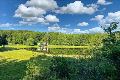 Thumbnail 49