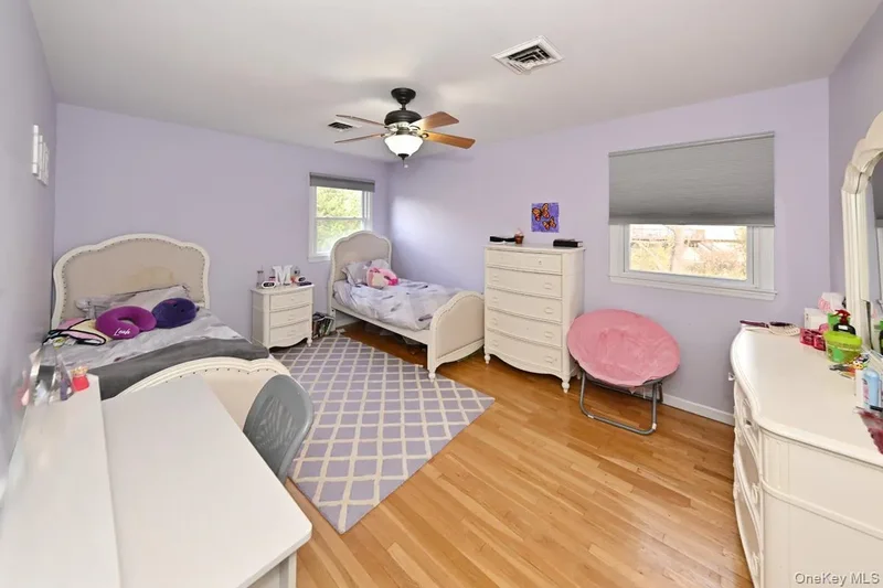 25 Flint Drive, Spring Valley, NY 10977, Spring Valley, NY, United States. - Photo 15