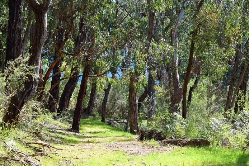 145 Harrisons Rd, Dromana VIC 3936, Australia, Dromana, Victoria, Australia. - Photo 16