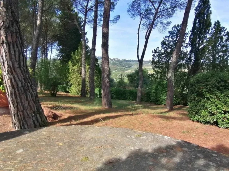 Agricultural estate with Chianti Docg vineyards