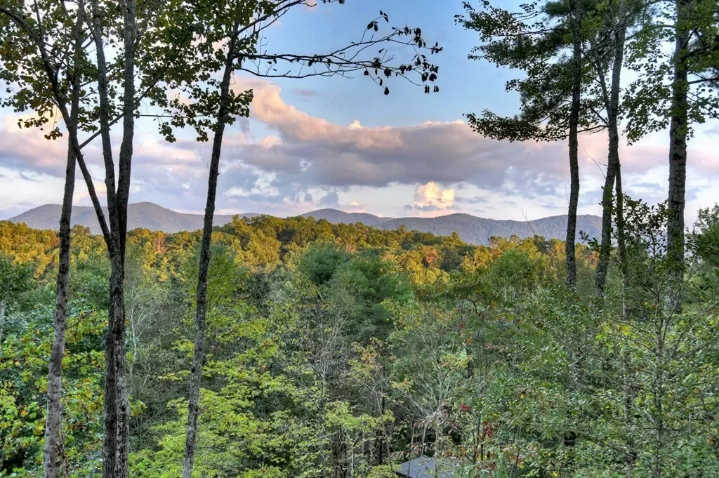 99 Dustin Drive S, Ellijay, Georgia, United States. - Photo 24