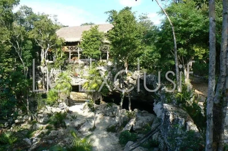 Gallery photo 2