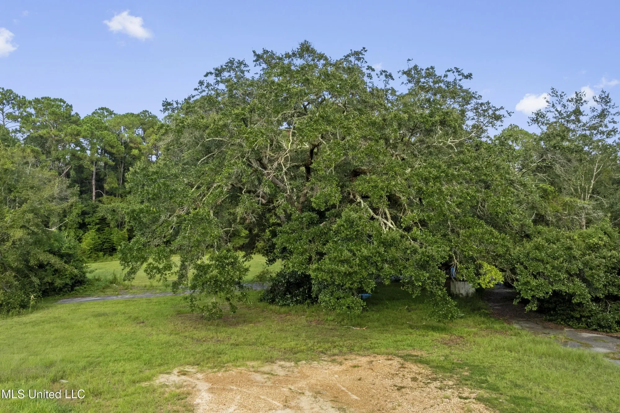 8.13 Acres Dixie Street, Ocean Springs, MS 39564, Ocean Springs, Mississippi, United States. - Photo 34