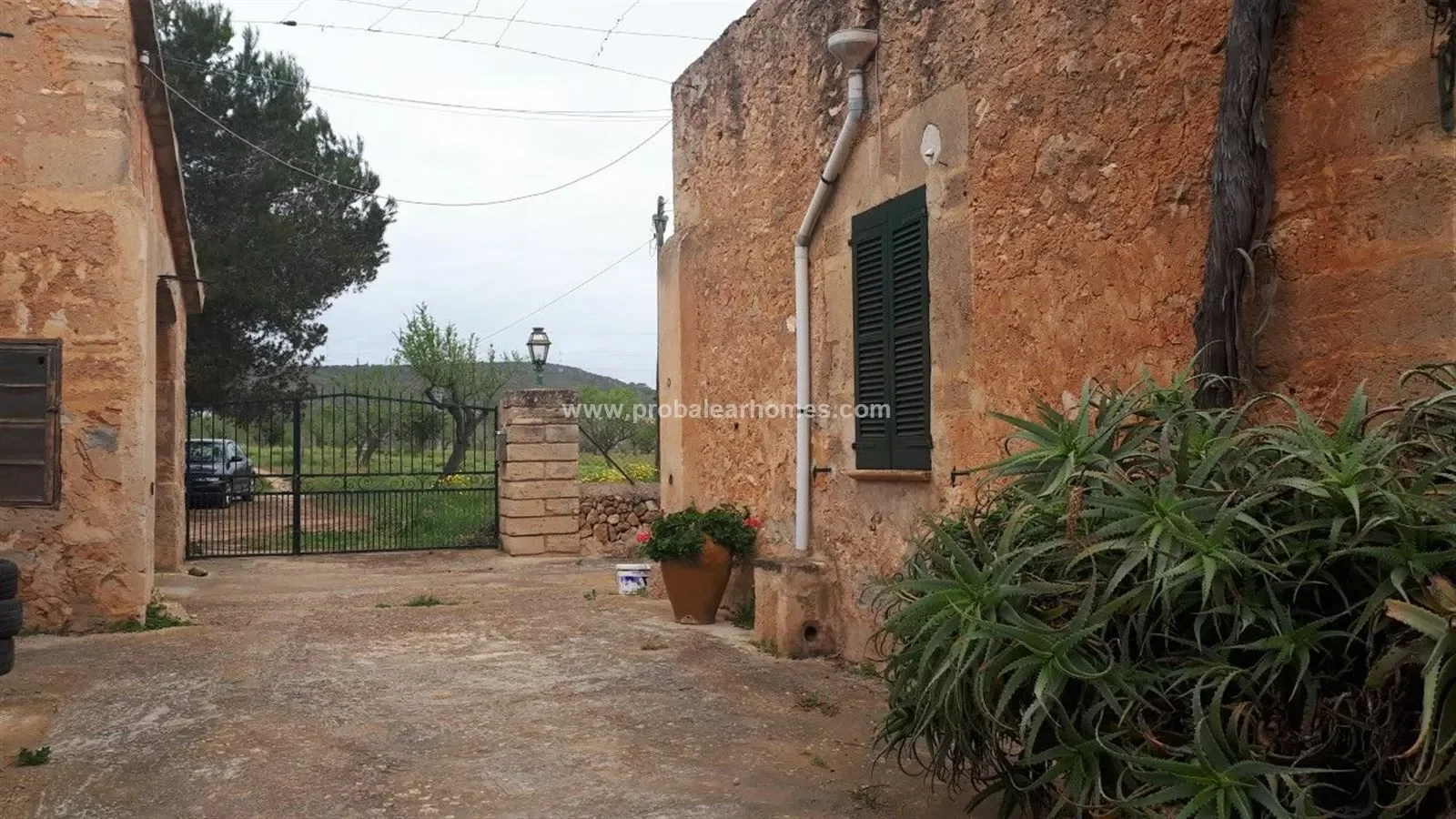 PALMA DE MALLORCA, Baleares, PALMA DE MALLORCA, Palma, Balearic Islands, Spain. - Photo 17