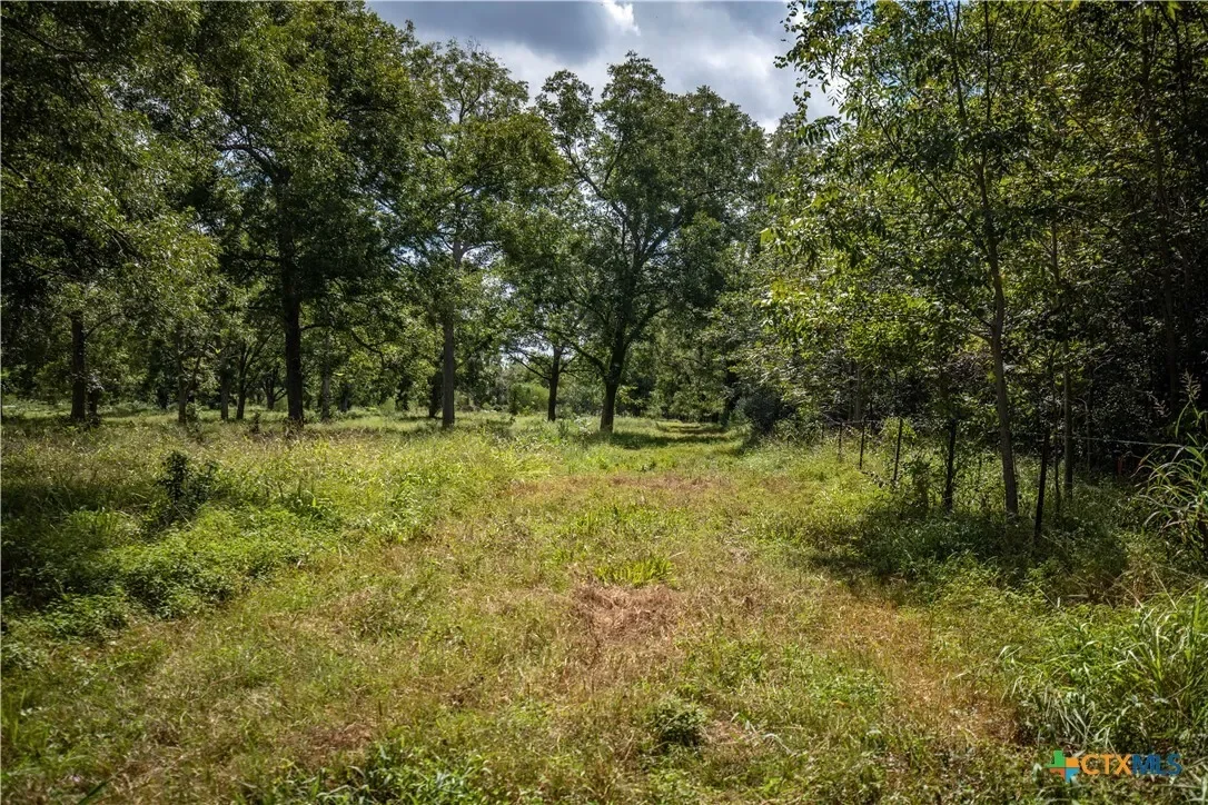 000 Fm 766, Cuero, TX 77954, Cuero, Texas, United States. - Photo 37