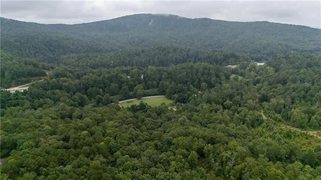 11094 Old 441 S, Lakemont, Georgia, United States. - Photo 19