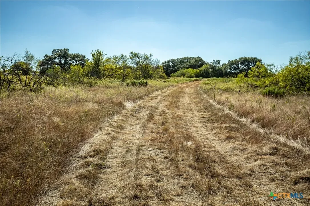 21123 Lamm Road, Elmendorf, TX 78112, Elmendorf, Texas, United States. - Photo 14
