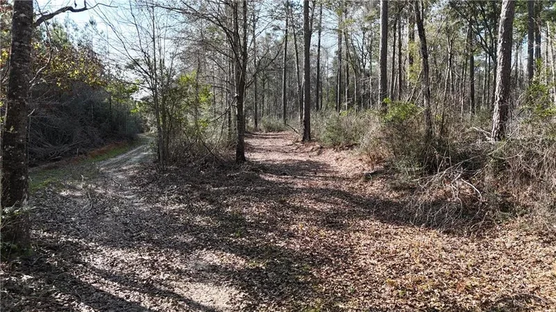 1773 RIDGE Road, Perkinston, MS 39573, Carriere, Mississippi, United States. - Photo 40