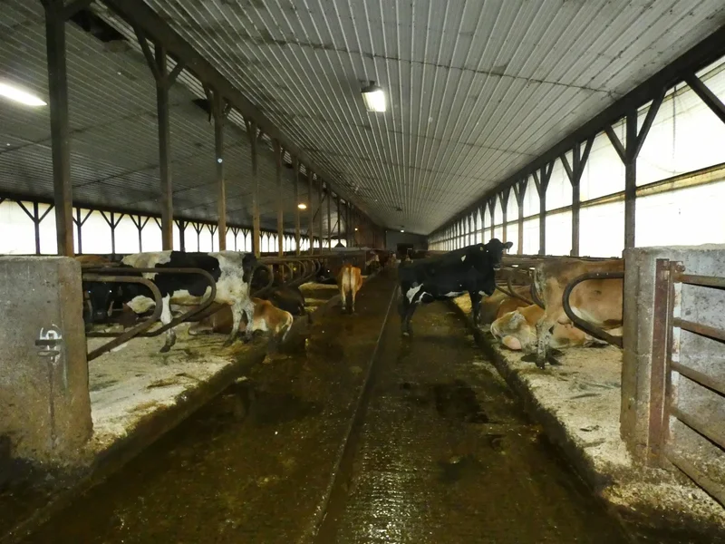 3604 VT Route 111, Morgan, VT 05853-9739, Morgan, Vermont, United States. - Photo 3