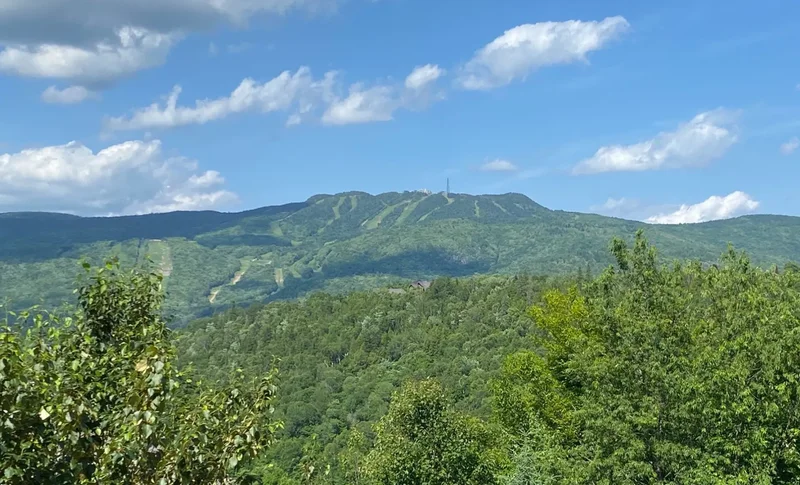 129 Ch. des Ancêtres, Mont-Tremblant, Quebec, Canada. - Photo 3