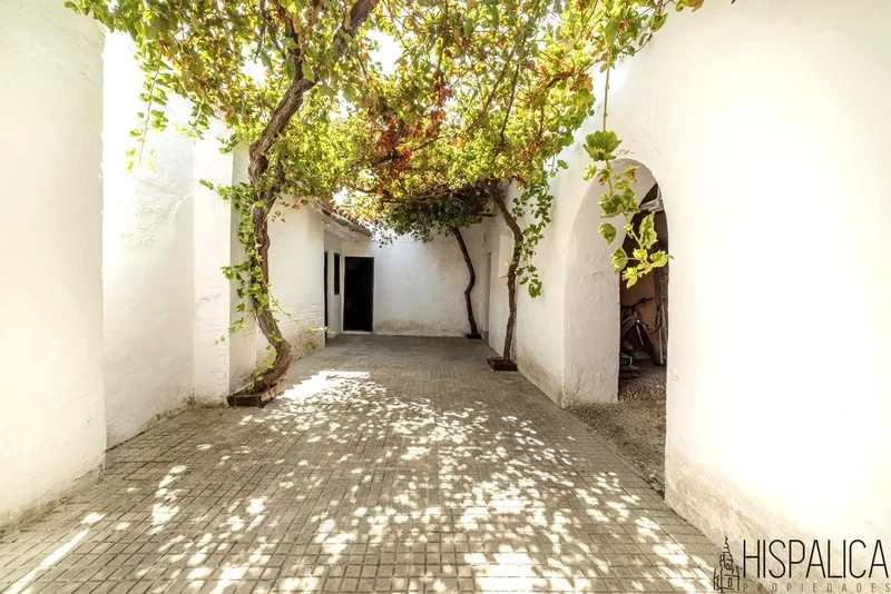 Écija, Sevilla, Écija, Ecija, Andalusia, Spain. - Photo 6