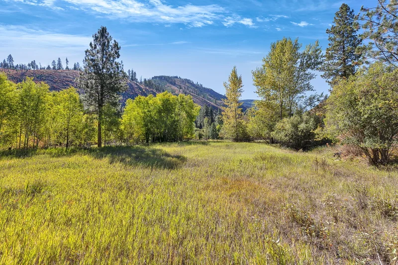 162 Medicine Springs Road, Conner, MT 59827, Conner, Montana, United States. - Photo 5