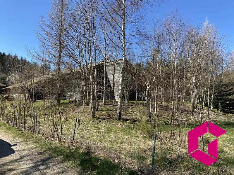 Le chambon-sur-lignon, Le chambon-sur-lignon, Le Chambon-sur-Lignon, Auvergne-Rhône-Alpes, France. - Photo 17