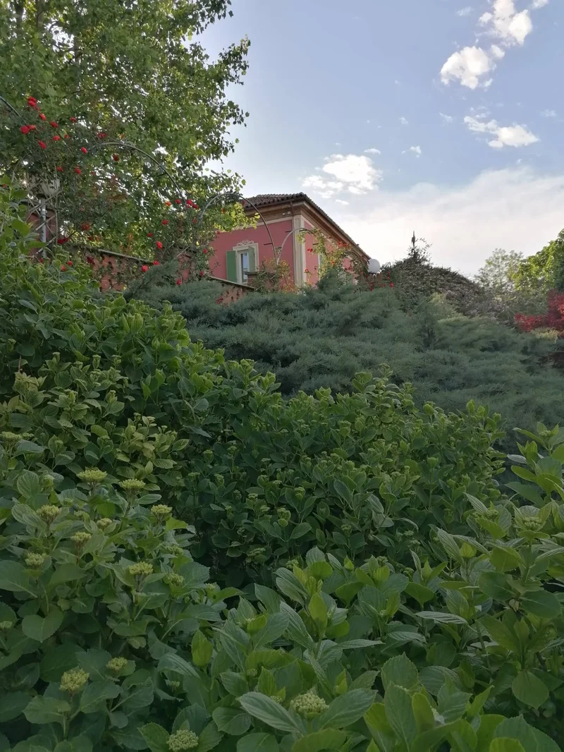 Località Vallarone 121, 14100 Asti (Asti), Asti, Piedmont, Italy. - Photo 57