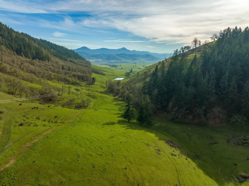 10181 N Umpqua Highway, Roseburg, OR, 97470, USA, Roseburg, Oregon, United States. - Photo 64