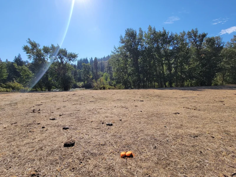 51 Highway 10, Cle Elum, WA 98922, Cle Elum, Washington, United States. - Photo 8