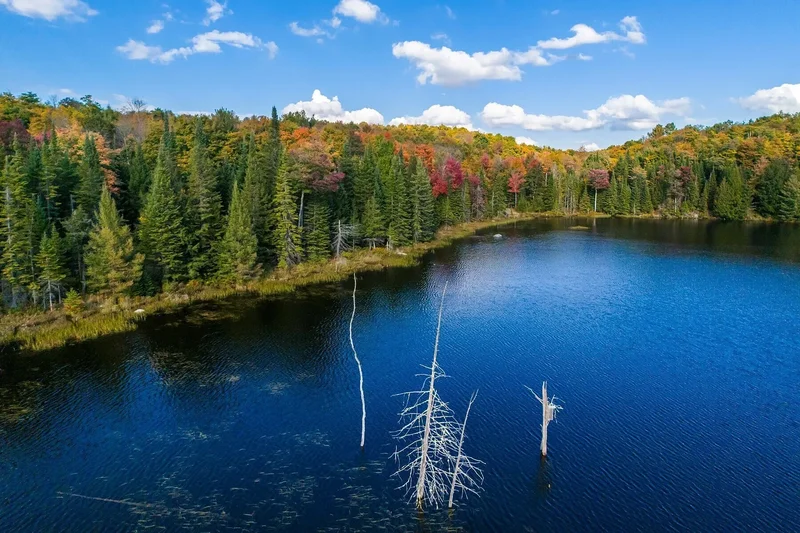 532 Ch. Edina, Grenville-sur-la-Rouge, QC J0V1B0, Rawcliffe, Quebec, Canada. - Photo 68