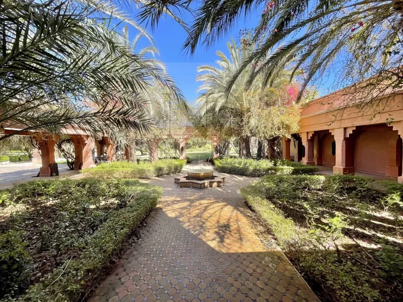 Annakhil, Marrakesh-Safi, Morocco. - Photo 16
