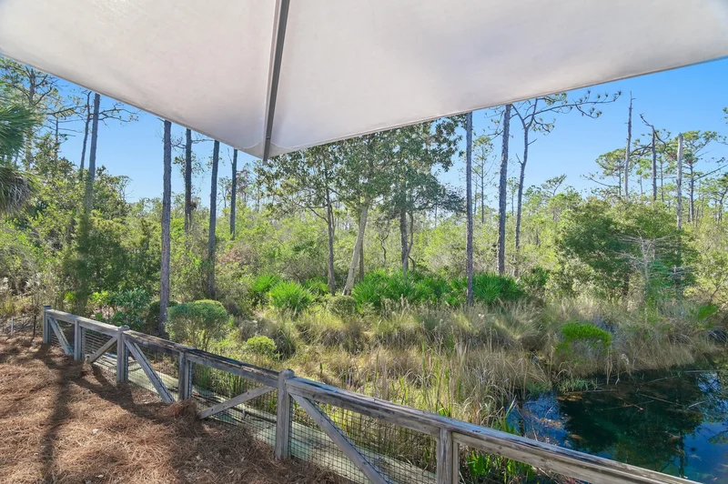 305 Flatwoods Forest Loop, Santa Rosa Beach, FL 32459, Santa Rosa Beach, Florida, United States. - Photo 32