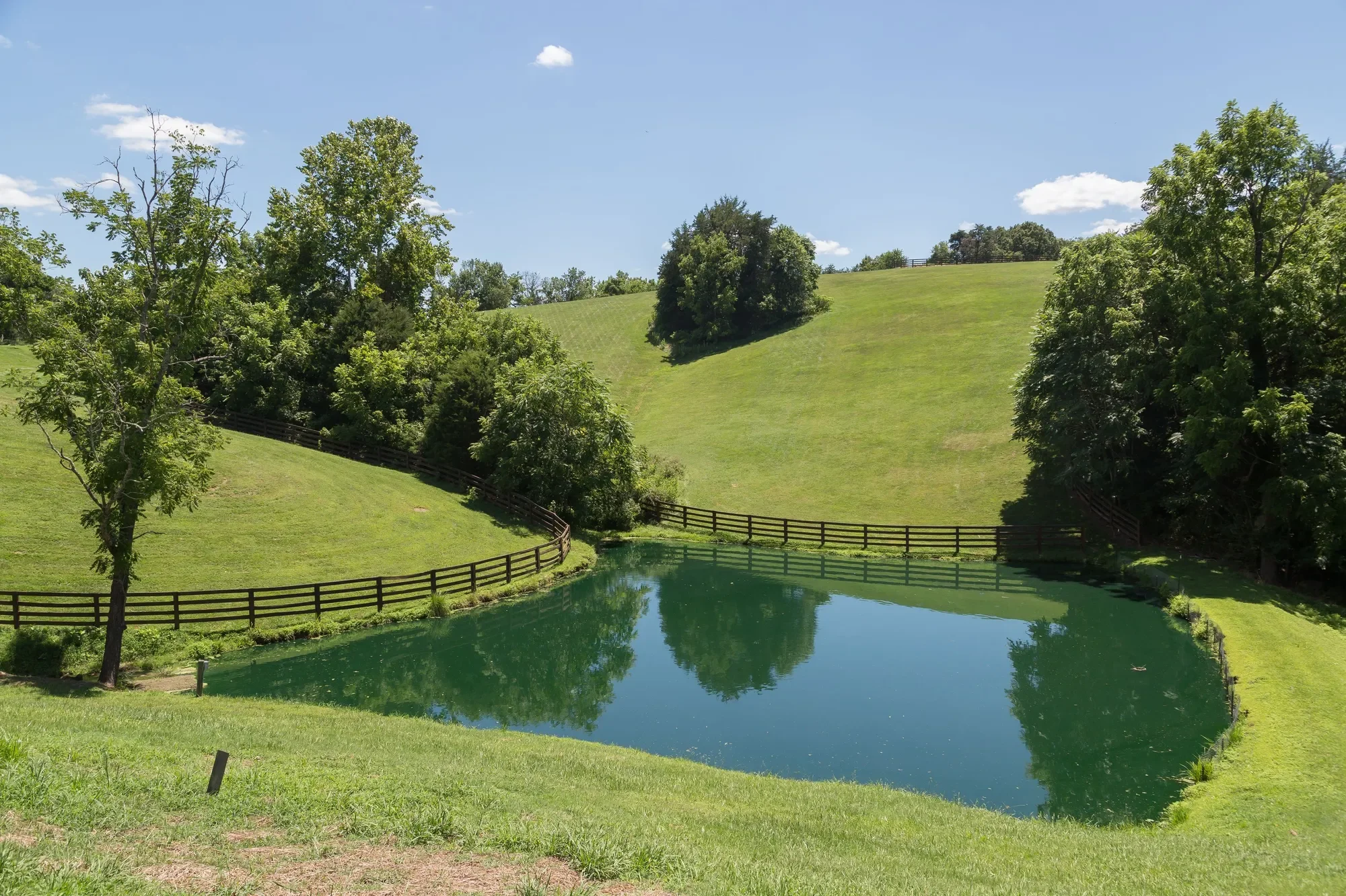 240 Stoneleigh Road, Palmyra, VA 22963, Lake Monticello, Virginia, United States. - Photo 43