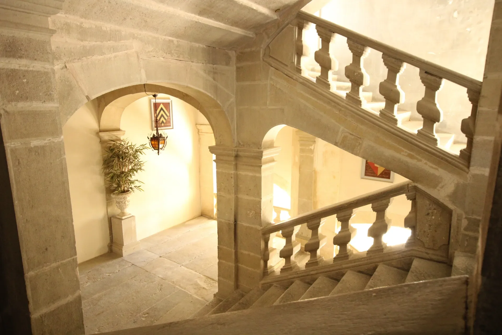 Gallery photo 5