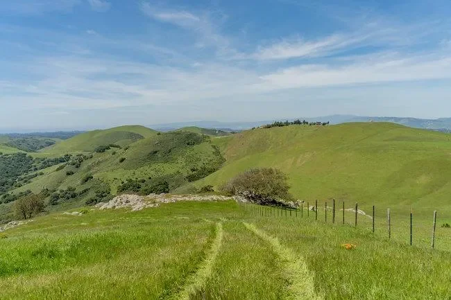 100 Old Stage Rd, San Juan Bautista, California, United States. - Photo 32