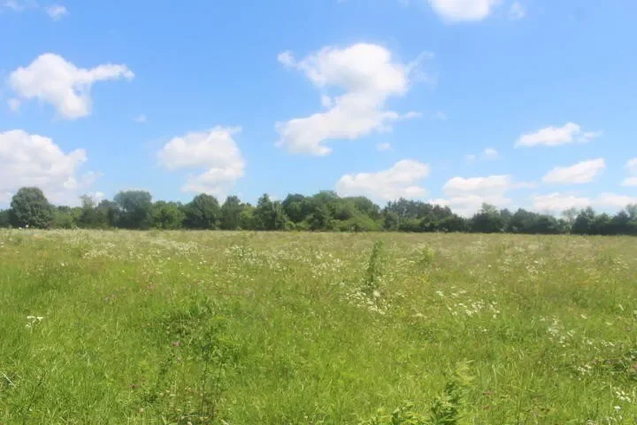 3176 S 170th Road, Polk, MO 65727, Bolivar, Missouri, United States. - Photo 78