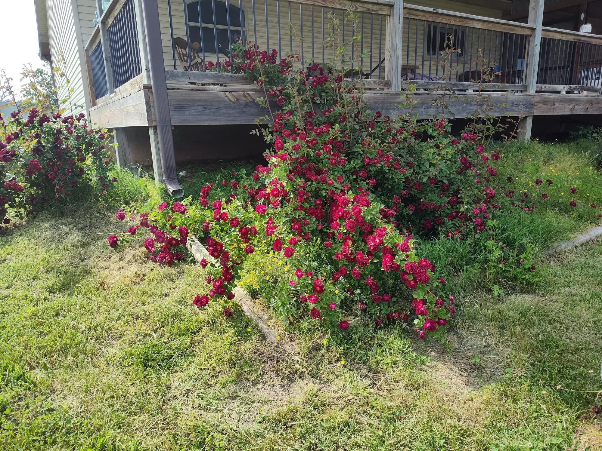 1898 E 332nd Road, Polk, MO 65727, Bolivar, Missouri, United States. - Photo 31