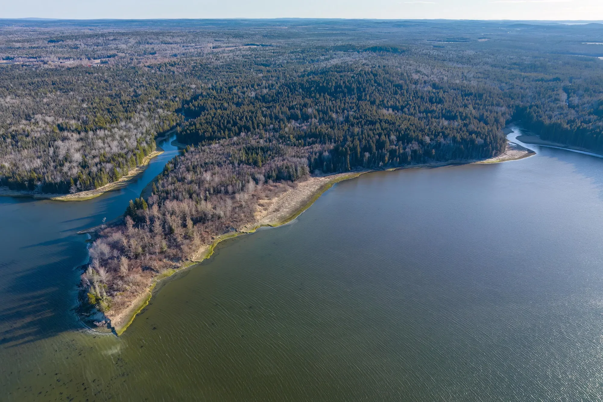 Lot 76-77 Nepp Point Road, Roque Bluffs, ME 04654, Roque Bluffs, Maine, United States. - Photo 16