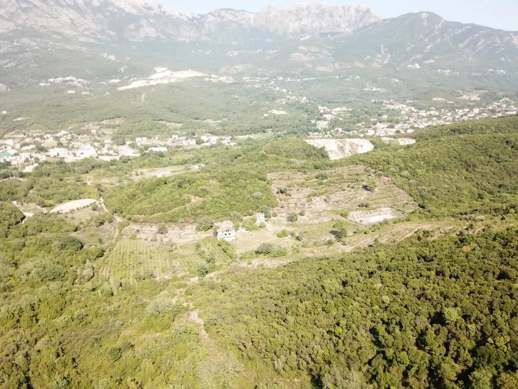 Kotor, Radanovici, Kotor Municipality, Montenegro. - Photo 3