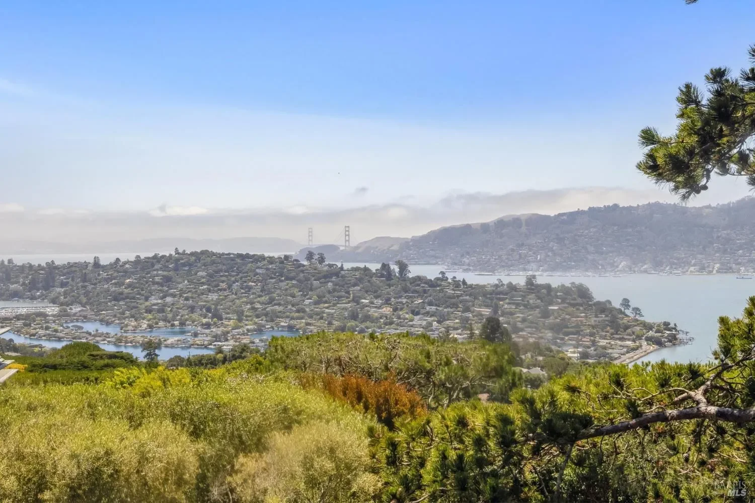 83 Mount Tiburon Road, Tiburon, California, United States. - Photo 69