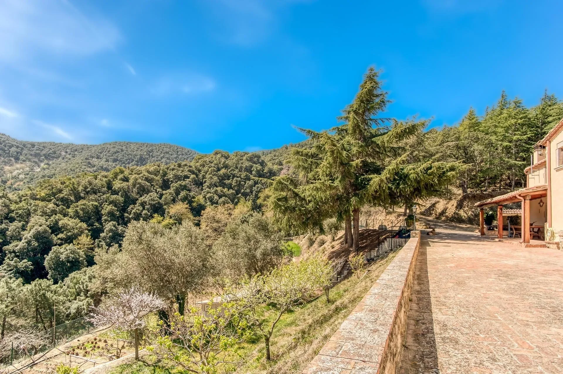 Hortsavinya, Tordera, BARCELONA, Tordera, Tordera, Catalonia, Spain. - Photo 3
