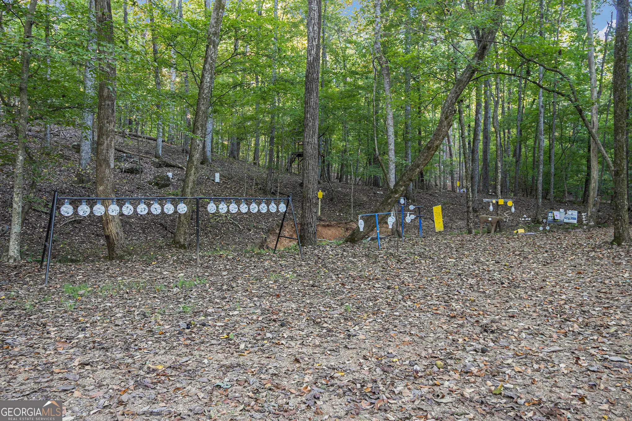Aragon, Georgia, United States. - Photo 36