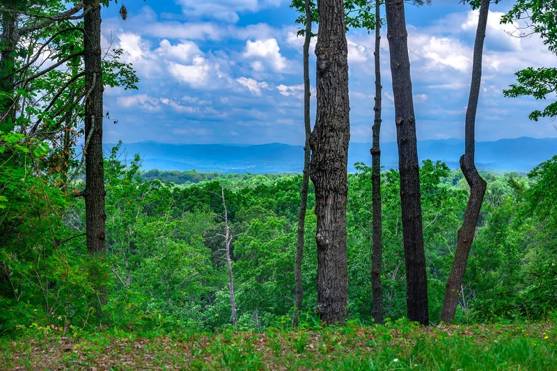 62 Destination Drive, Asheville, NC 28806, Asheville, North Carolina, United States. - Photo 42