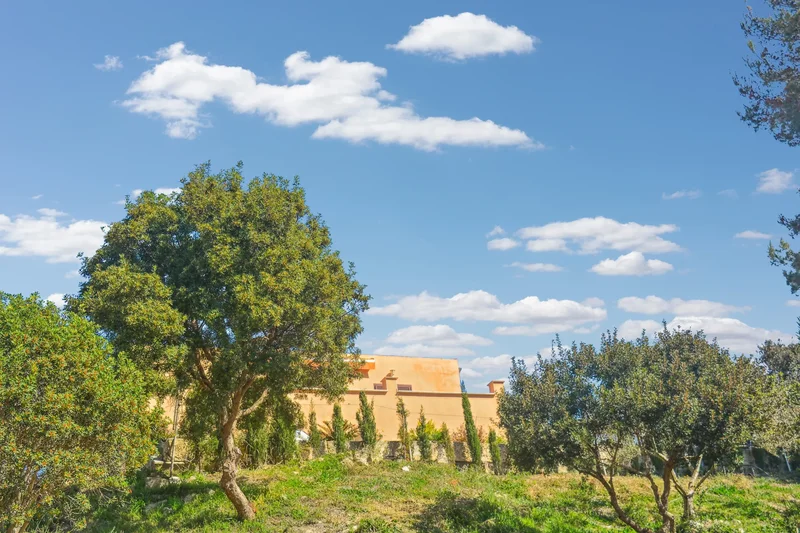 Son Servera, Mallorca, Son Servera, Son Servera, Balearic Islands, Spain. - Photo 16