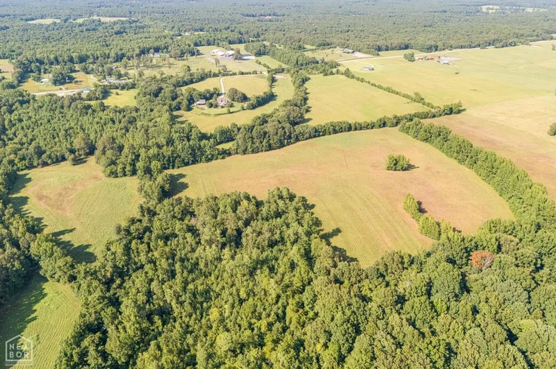 271 Greene 716 Road, Paragould, AR 72450, Paragould, Arkansas, United States. - Photo 10