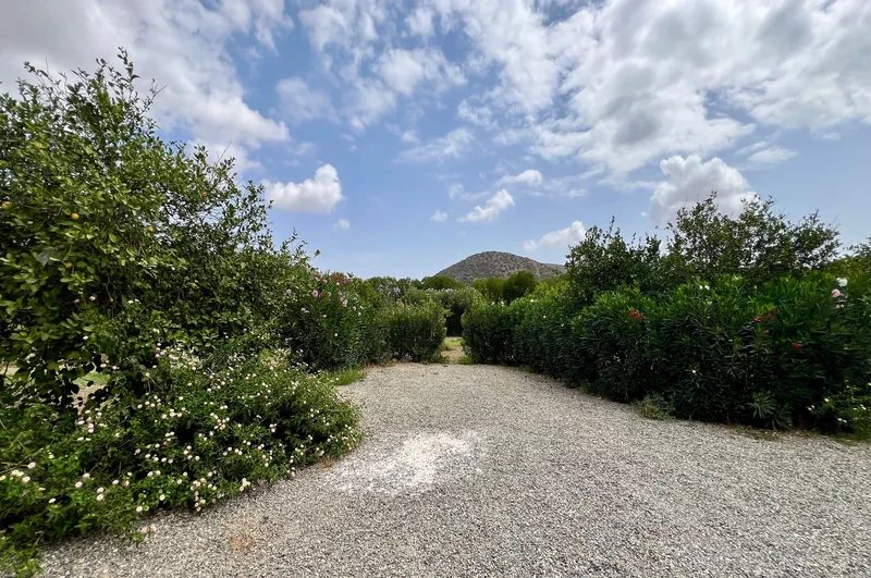 29570 Cártama, Málaga, Spain, Cartama, Andalusia, Spain. - Photo 29