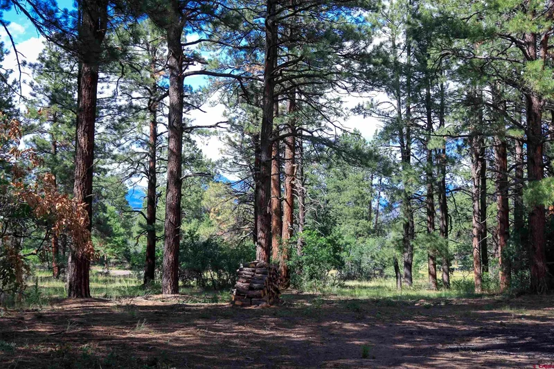 3700A Co Rd 600 lot 3, Pagosa Springs, CO 81147, Pagosa Springs, Colorado, United States. - Photo 36