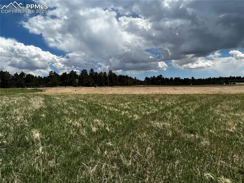 11970 Woodridge Terrace, Colorado Springs, CO 80908, Colorado Springs, Colorado, United States. - Photo 14