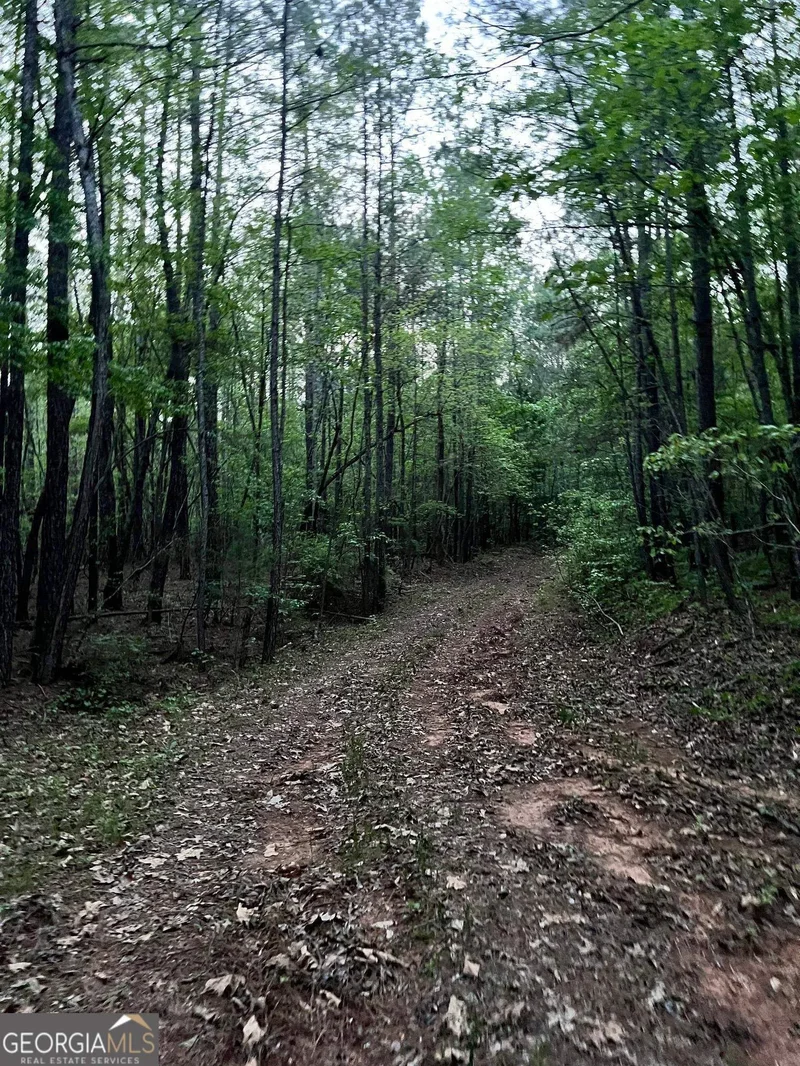 0 J T Elder Road, Watkinsville, GA 30677, Watkinsville, Georgia, United States. - Photo 8
