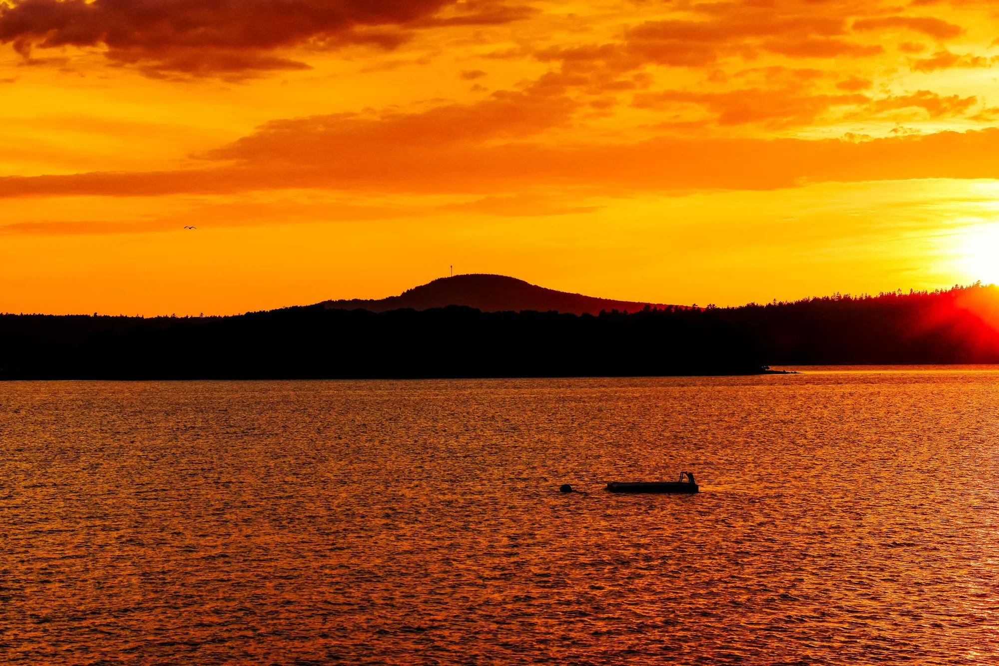 1513 Newbury Neck Road, Surry, ME 04684, Blue Hill, Maine, United States. - Photo 5