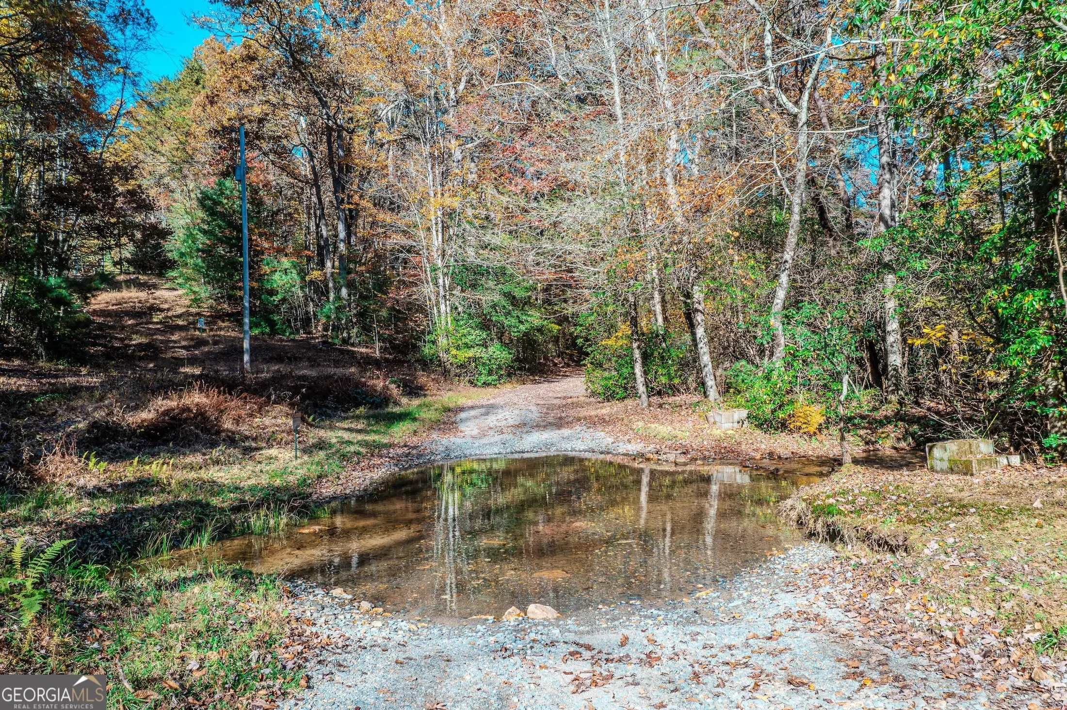339 Wehunt RD, Blue Ridge, Georgia, United States. - Photo 62